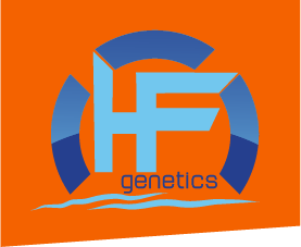 HF GENETICS